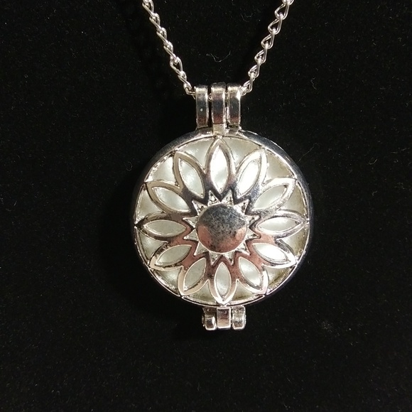 Aromatherapy Essential Oil Necklace - Picture 1 of 2